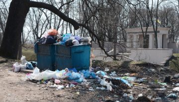 skip bin