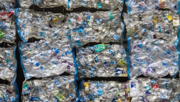 Waste Management