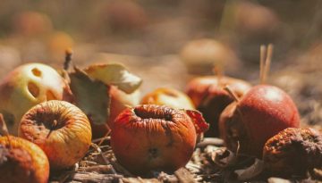 food waste