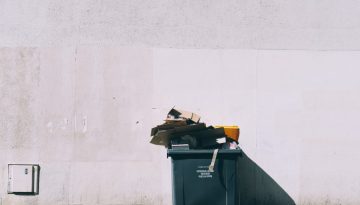 skip bin