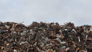 Exporting Waste