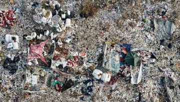 Site Clearance