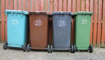 skip bin