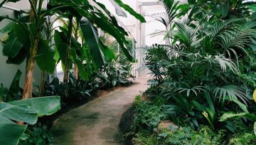 garden landscaping