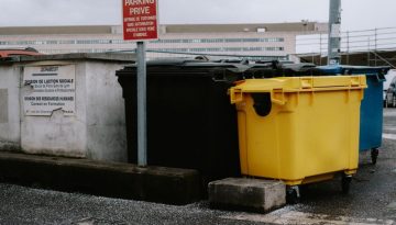 skip bins