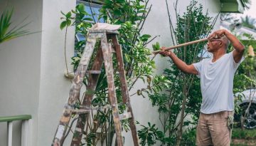 Garden Renovation