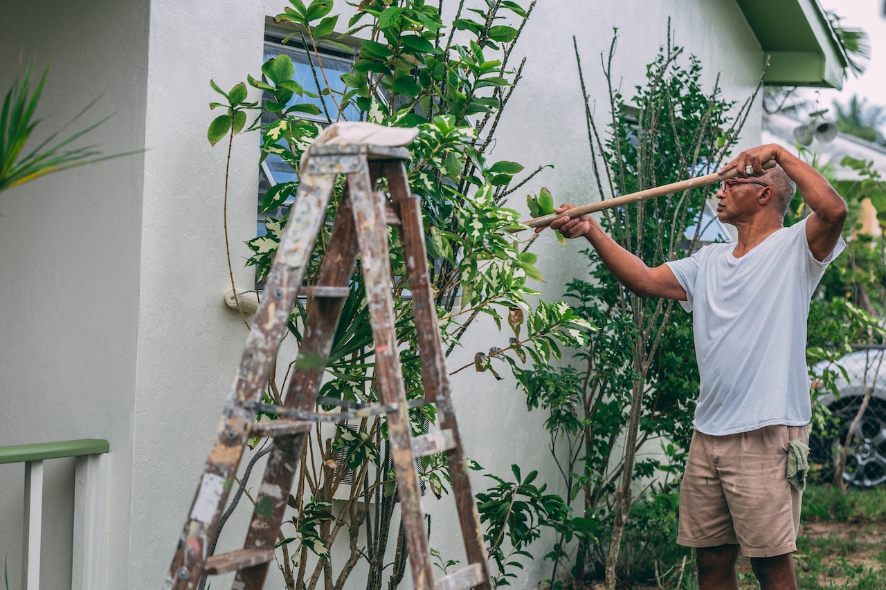 Garden Renovation