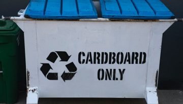 white skip bin