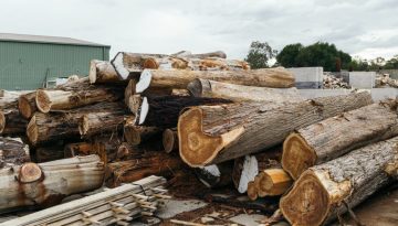logs for disposal