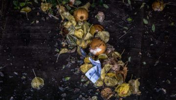 garden waste