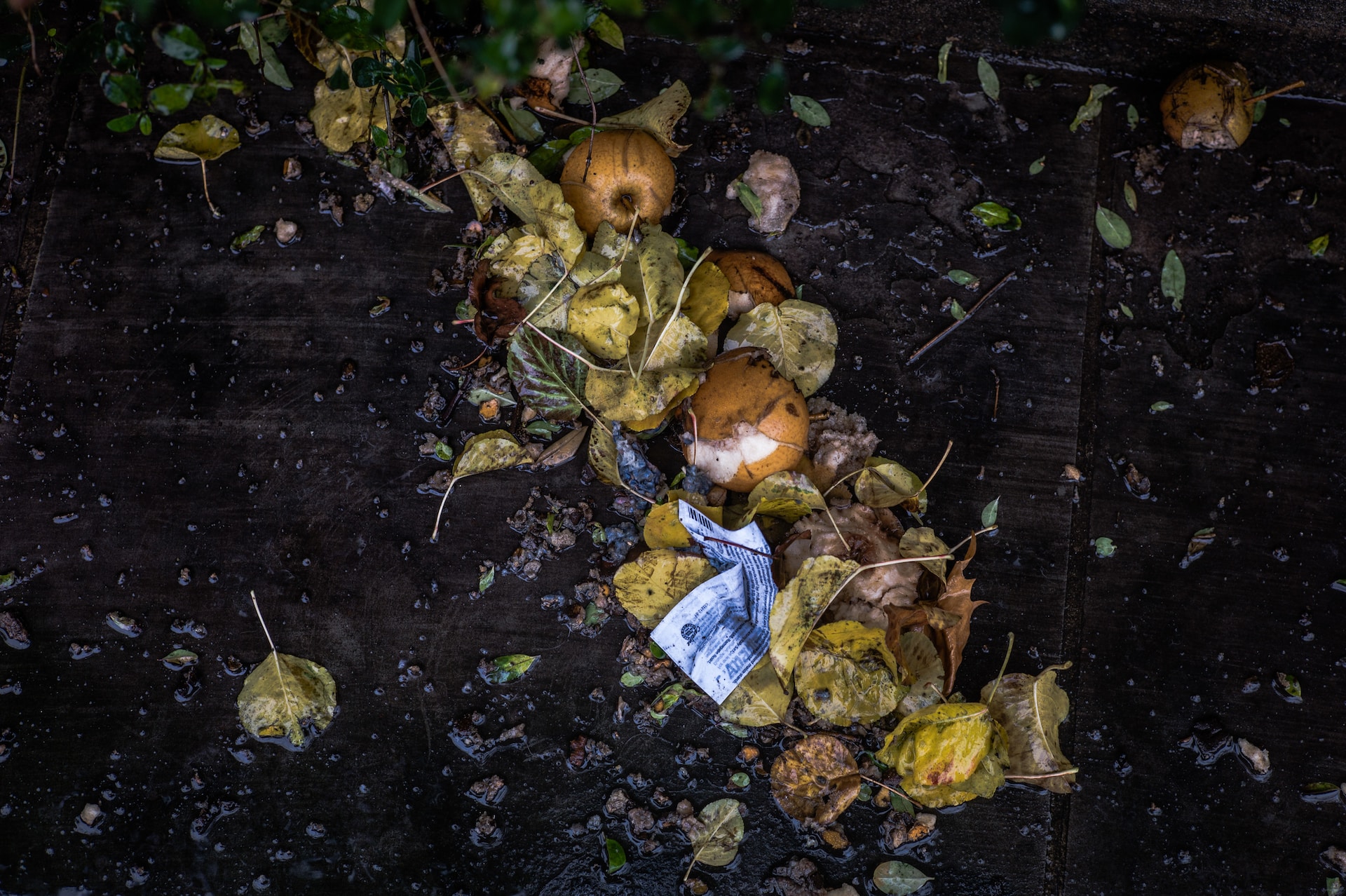 garden waste