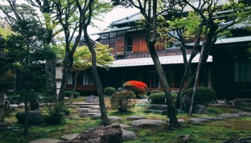 garden landscaping