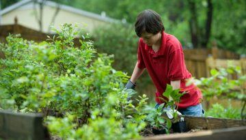 garden waste