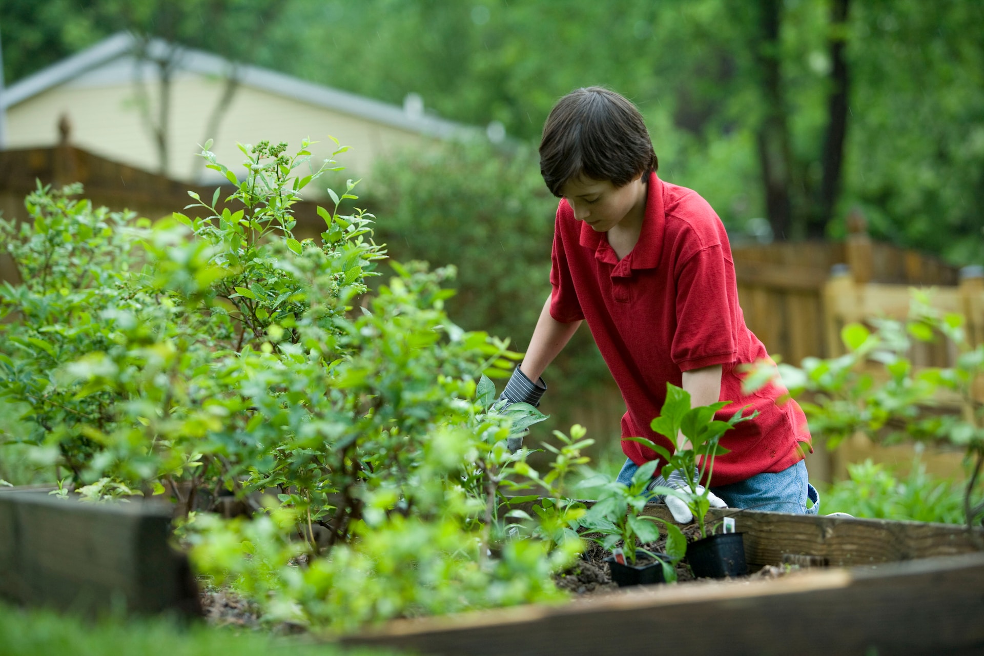 garden waste