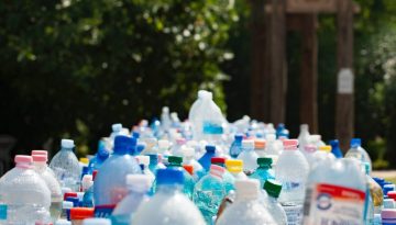 bottles