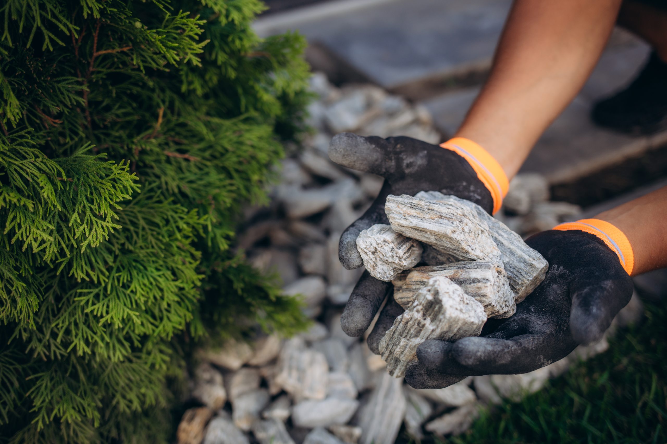 Garden Landscaping