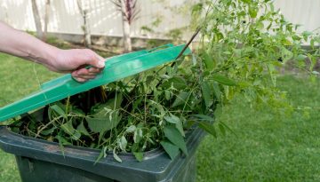 Garden Waste