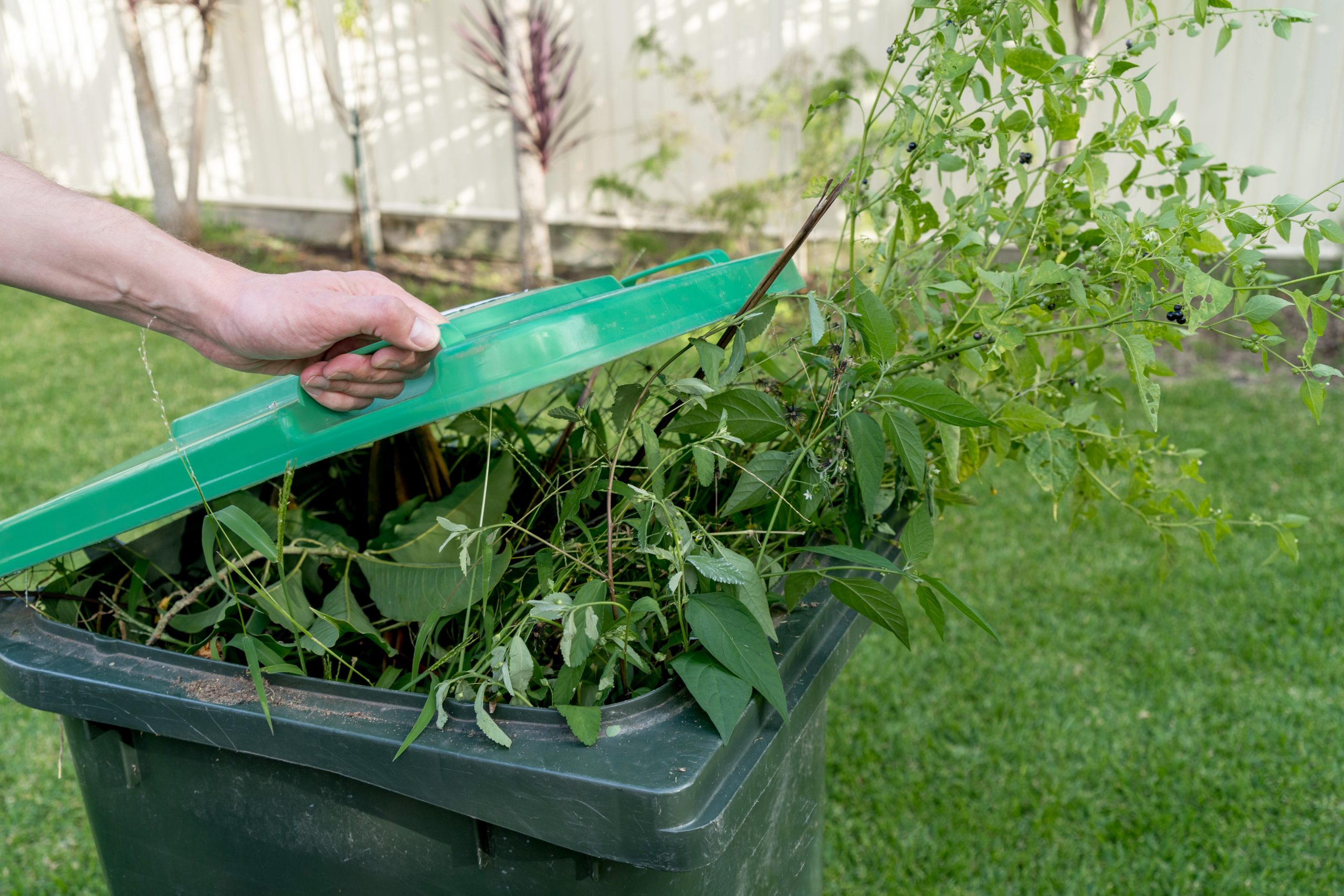 Garden Waste