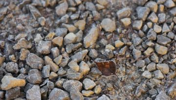 Aggregate