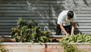 garden waste