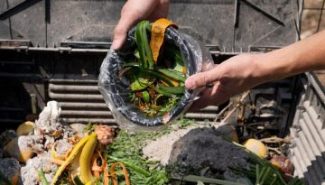 garden waste disposal