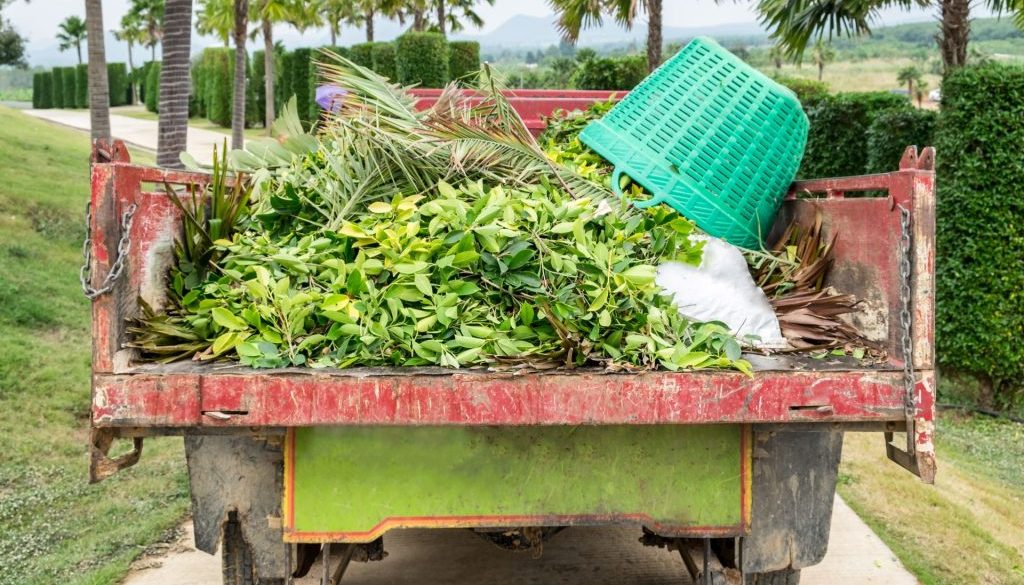 Garden Waste Disposal