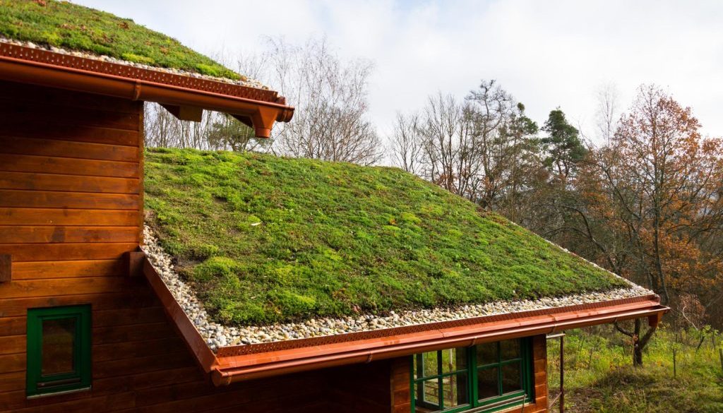 Green Roofing