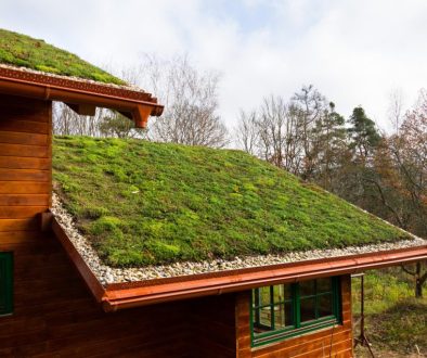 Green Roofing