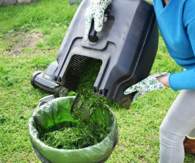Skip for Garden