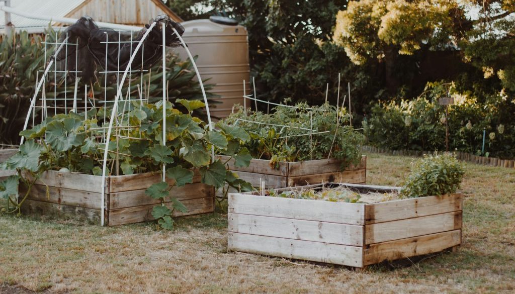 Garden Beds