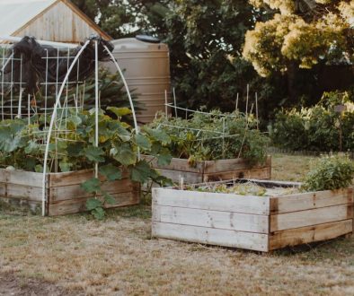 Garden Beds