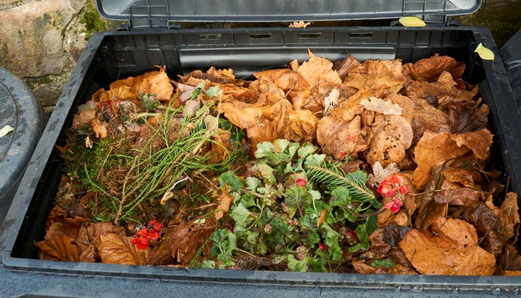 Garden Waste