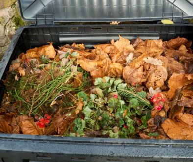 Garden Waste