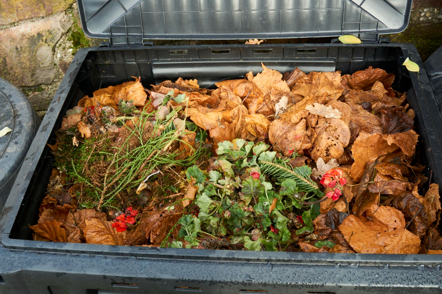 Garden Waste