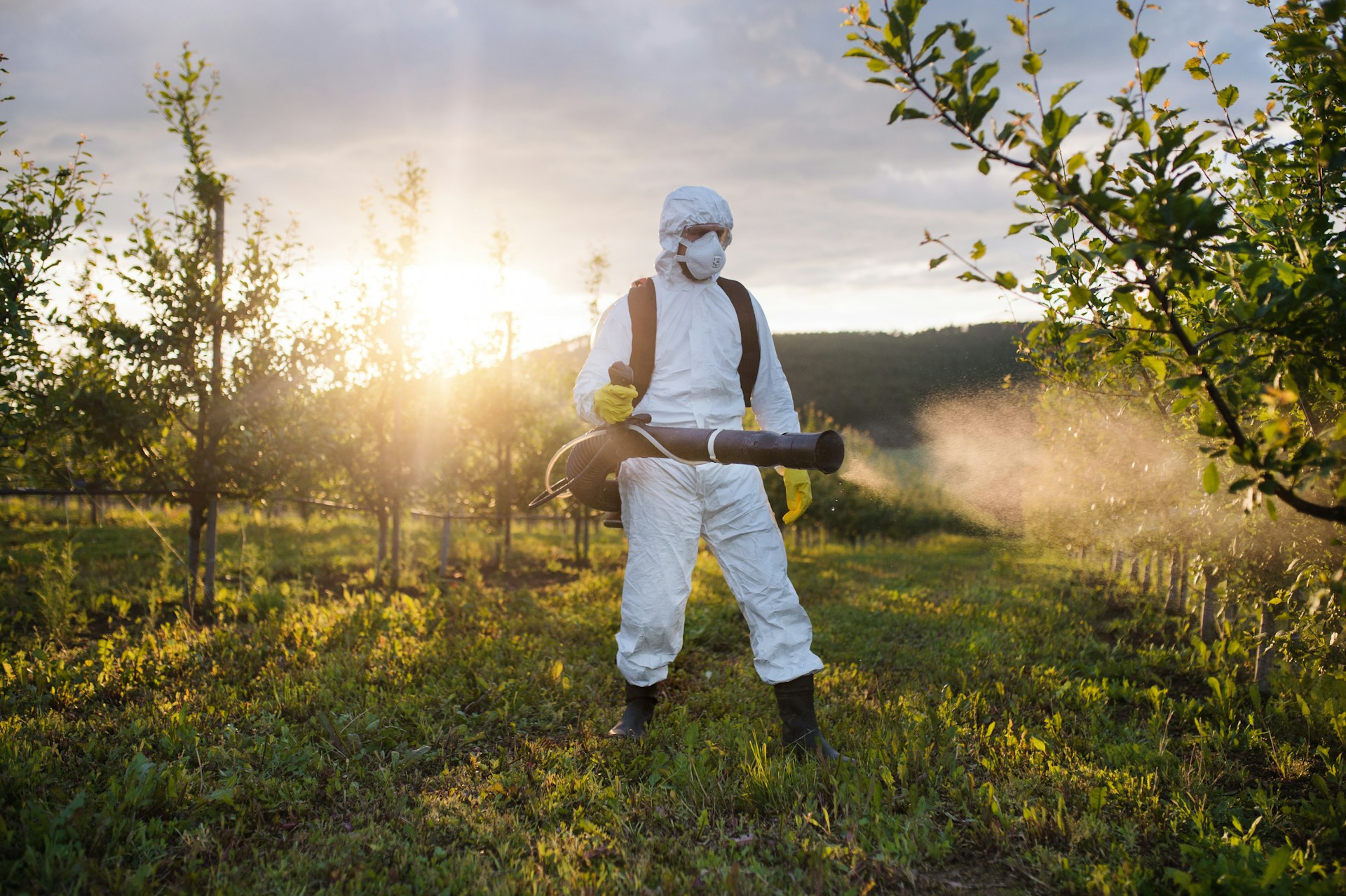 Hazardous Waste from Pesticides