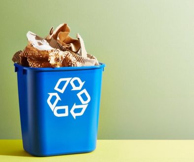 recycling paper and cardboard