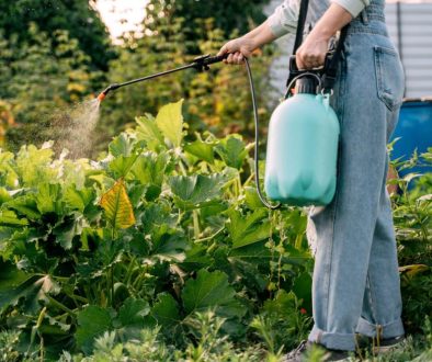 garden chemical waste