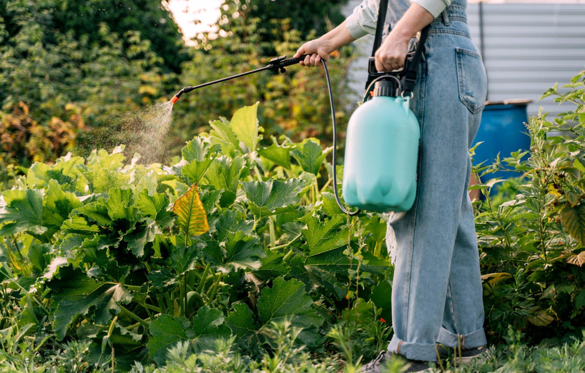 garden chemical waste