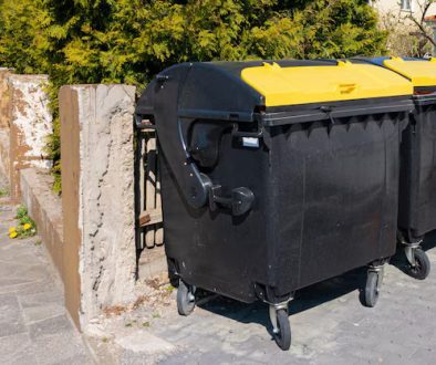 Skip Hire This Winter