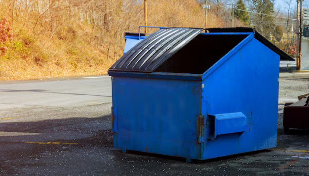 skip for year end business clean up