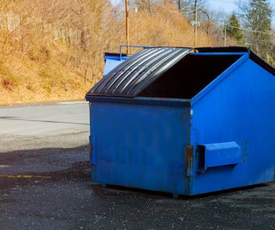 skip for year end business clean up