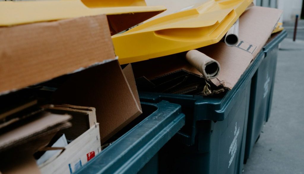 skip rental services