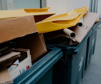 skip rental services
