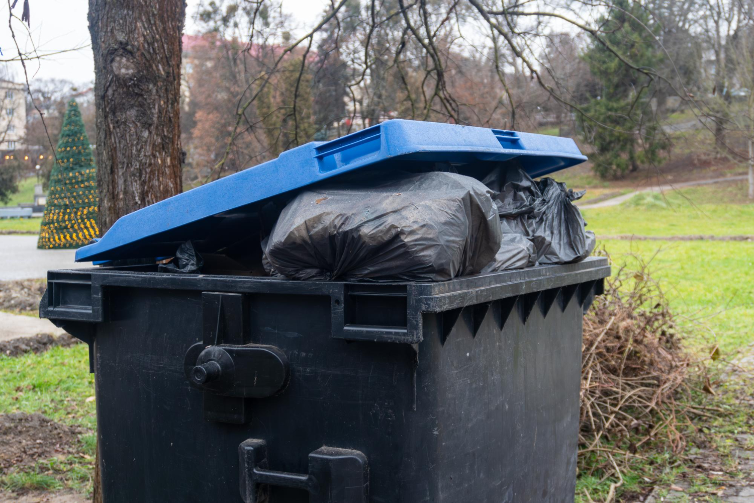 skip hire