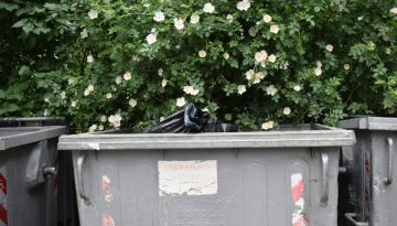 yard skip