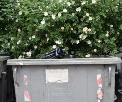 yard skip