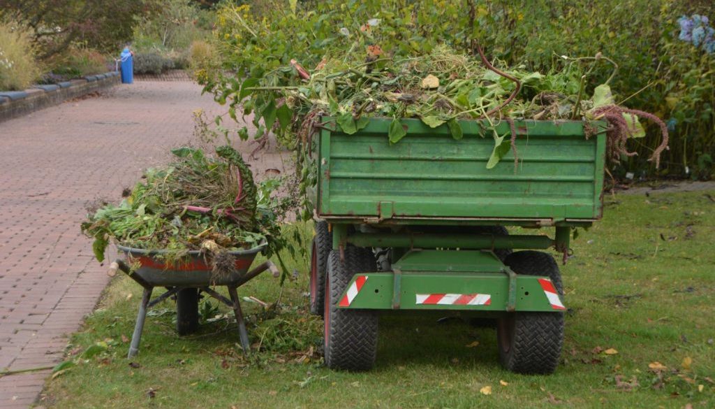 Autumn Garden Clearance