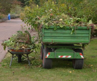 Autumn Garden Clearance