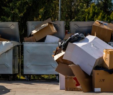 yard skip